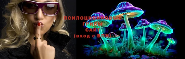 тгк Гусиноозёрск