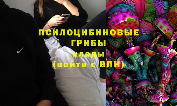 тгк Гусиноозёрск