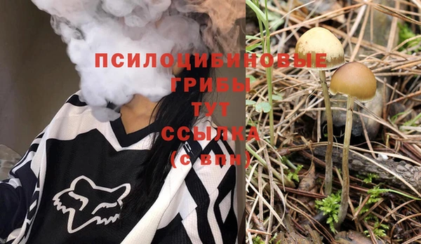 2c-b Гусь-Хрустальный
